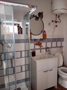 y baño con ducha, lavabo y aseo. en Casa Gaia, en San Giuliano Terme
