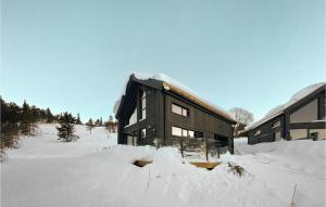 a house in the snow with snow around it at Beautiful Home In Rauland With House A Mountain View in Rauland