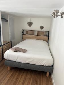 1 dormitorio con 1 cama en una habitación con corazones en la pared en Le Terminus, en Aix-les-Bains