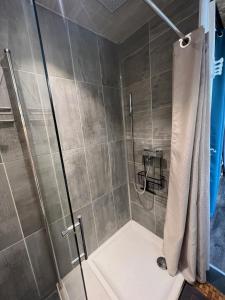 a shower with a glass door in a bathroom at Le Terminus in Aix-les-Bains