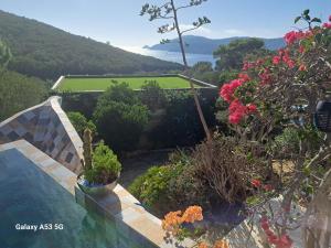 Zdjęcie z galerii obiektu Villa Balata w mieście Île du Levant
