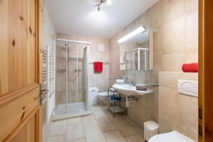 a bathroom with a shower and a sink and a toilet at Trü-Sura Nr. 3 in Scuol