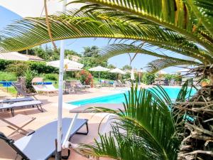 a pool at the resort with chairs and umbrellas at Agriturismo Rosa Antica in Monte San Vito