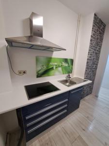 a kitchen with a sink and a counter top at Ferienwohnung mit Tageslichtbad in ländlicher Lage nahe Halle (Saale) in Landsberg