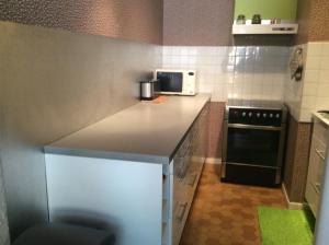 Les 2 alpes appartement entier 6pers. في مونت دي لانس: مطبخ صغير مع ميكروويف وموقد