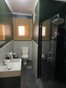 a bathroom with a toilet and a sink and a shower at Lovely 2 bedroom by the Nile in Cairo