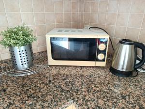 a microwave sitting on a counter with a pot of flowers at CASA ADRIANO frontemare WIFI e NETFLIX in Lido Adriano