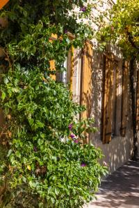 Ogród w obiekcie LE JARDIN DE CESAR