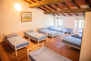 un grupo de camas en una habitación en Ostello di Camaiore en Camaiore
