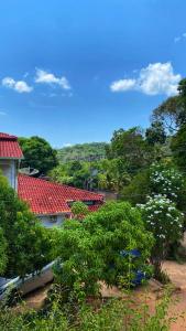 a view of roofs of houses with trees at Casa Amarela Alter in Alter do Chao