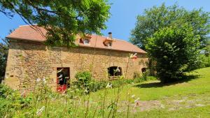 una vieja casa de piedra en un campo de hierba en Le Clos d'Ô Les Rapiettes maison proche Sarlat avec piscine privée, en Prats-de-Carlux