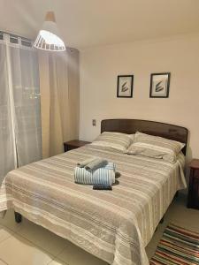 Tempat tidur dalam kamar di Apartamento Céntrico 1D-1B