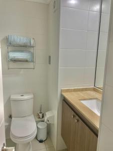 La salle de bains blanche est pourvue de toilettes et d'un lavabo. dans l'établissement Apartamento Céntrico 1D-1B, à Antofagasta