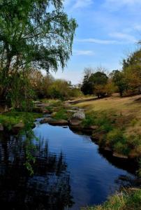 Naturlandskabet i nærheden af feriehuset