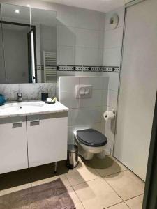 bagno con servizi igienici, lavandino e specchio di Studio Benvengudo Port La Ciotat - Appartement et parking a La Ciotat