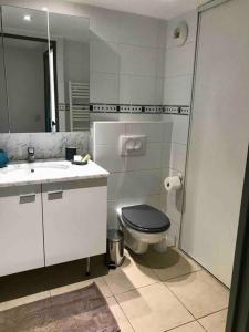 une salle de bain avec toilettes, lavabo et miroir dans l'établissement Studio Benvengudo Port La Ciotat - Appartement et parking, à La Ciotat 14 autres photos