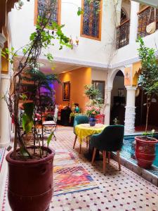 Zahrada ubytování Riad Zahri
