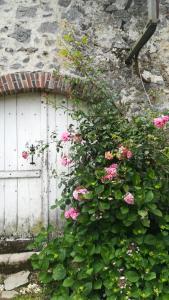um arbusto com flores rosas ao lado de um edifício em la chambre du moulin de la bleure em Moncoutant