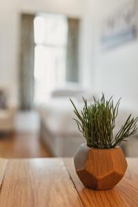 a plant sitting on top of a wooden table at Contractors & Pets Welcome - Sleeps 1-4, less than 1 mile from M606, Ideal for Longer Stays in Cleckheaton