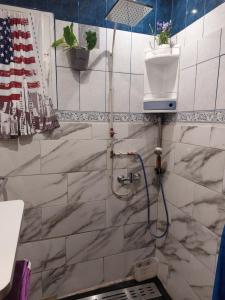 a bathroom with a shower with an american flag at Tranquillité in Saint-Joseph