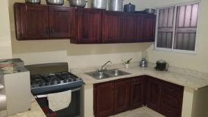 une cuisine avec des armoires en bois, un évier et une cuisinière dans l'établissement Apartamentos JuanSabeloTodo, à Santiago de los Caballeros