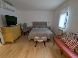 1 dormitorio con 1 cama, TV y sofá en La Paloma, en Tarragona