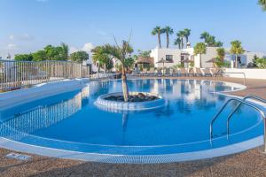 a swimming pool with a tree in the middle at Jardines del Sol in Playa Blanca