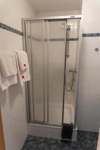 a shower with a glass door in a bathroom at Gasthaus Schneider in Bad Bocklet