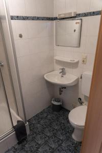 ein Bad mit einem WC und einem Waschbecken in der Unterkunft Gasthaus Schneider in Bad Bocklet