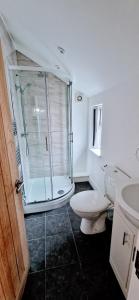a bathroom with a shower and a toilet and a sink at Central Reading Modern 3BR flat - Walk to station and high street in Reading