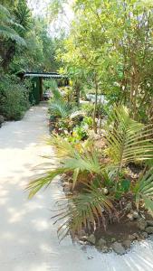 a garden with plants and trees and a pathway at Camping D'Tente Paradise in Saint-Louis