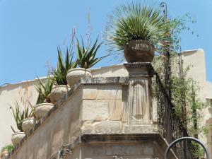 Fotografia z galérie ubytovania Palazzo Degli Olivi v destinácii Modica