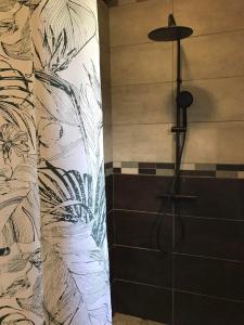 a bathroom with a shower with a black and white wall at Villa et grand jacuzzi six personnes visite à la ferme in Saint-Joseph