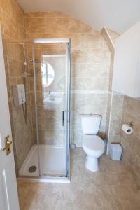 uma casa de banho com um WC e uma cabina de duche em vidro. em Riverside Townhouse Carrick em Carrick on Shannon