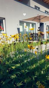 Aed väljaspool majutusasutust Appartement Ackerli