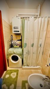 y baño con aseo y cortina de ducha. en La Rosa Blu, en Goriano Sicoli