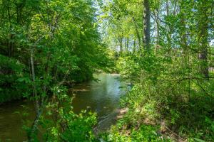 Afbeelding uit fotogalerij van Cozy Cove Cabin Pet Friendly & Creek Access in Marion +37 foto's