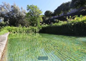 een zwembad met water in een tuin met gras bij MyStay - Quinta da Balança in Terras de Bouro