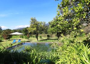 テーラス・デ・ボウロにあるMyStay - Quinta da Balançaの庭中のスイミングプール