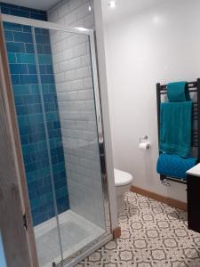 a bathroom with a shower with a toilet and blue towels at The Hive at Seonaidbheag in Perth