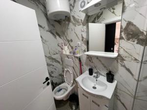 a bathroom with a sink and a toilet and a mirror at Apartman Zivkovic in Veliko Gradište