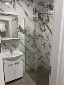 La salle de bains est pourvue d'une douche en verre et d'un lavabo. dans l'établissement Apartman Zivkovic, à Veliko Gradište