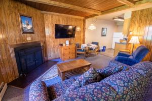 a living room with a couch and a fireplace at Castle Mountain Lodge in Estes Park