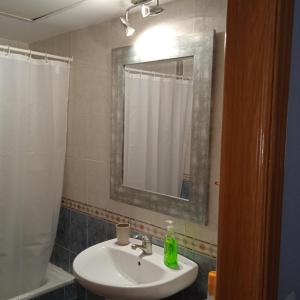 bagno con lavandino, specchio e doccia di ALQUILO habitación en coqueto piso baño compartido a Torremolinos