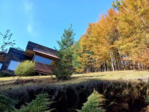 a house on a hill with trees in the background at Casa Pucon sector Laguna ancapulli in Pucón