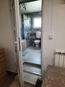 a bathroom with a toilet and a glass door at Studio Primani in Sečovlje