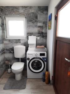 a bathroom with a washing machine and a toilet at Studio Primani in Sečovlje