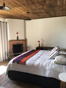 1 dormitorio con 1 cama grande y chimenea en Mágica casa en las Nubes, San Cristóbal, en San Cristóbal de Las Casas