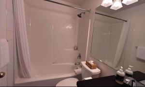 a white bathroom with a toilet and a shower at Stone Creek by StayIn in Fernie +14 photos