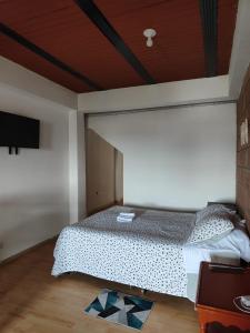 sypialnia z łóżkiem i telewizorem z płaskim ekranem w obiekcie Cómodo estudio en la vía a termales w mieście Santa Rosa de Cabal